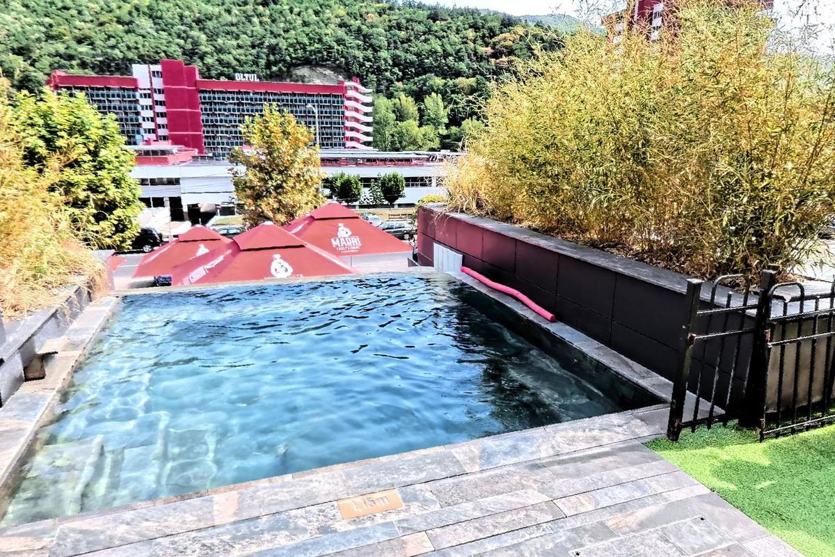 The outdoor infinity pool at Hotel Bucura with the wooded hill behind it