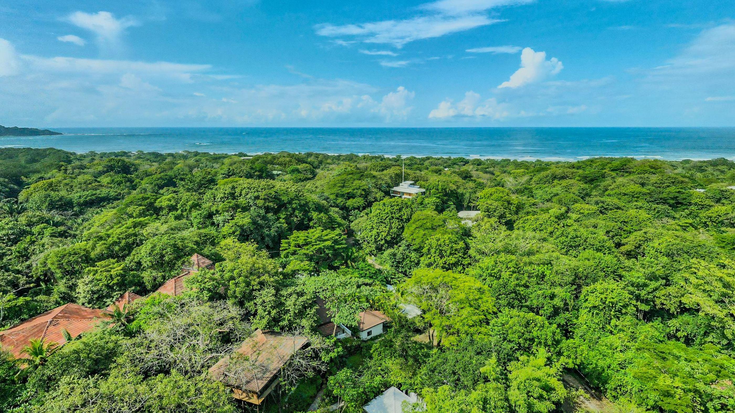Jungle canopy running from the resort all the way out to the ocean under a big sky
