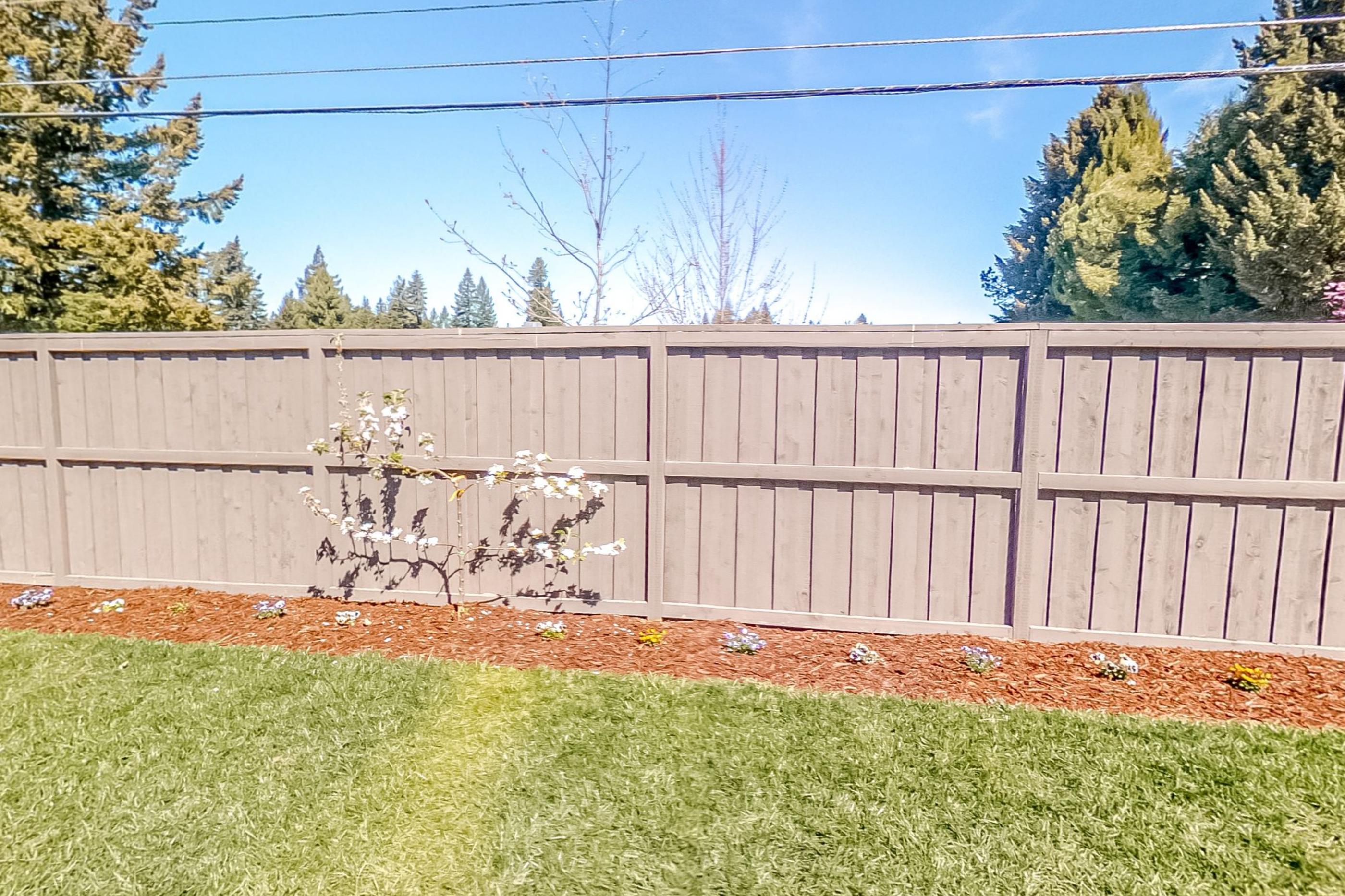 A fenced back garden with flat lawn, a young tree and tall firs beyond the fence