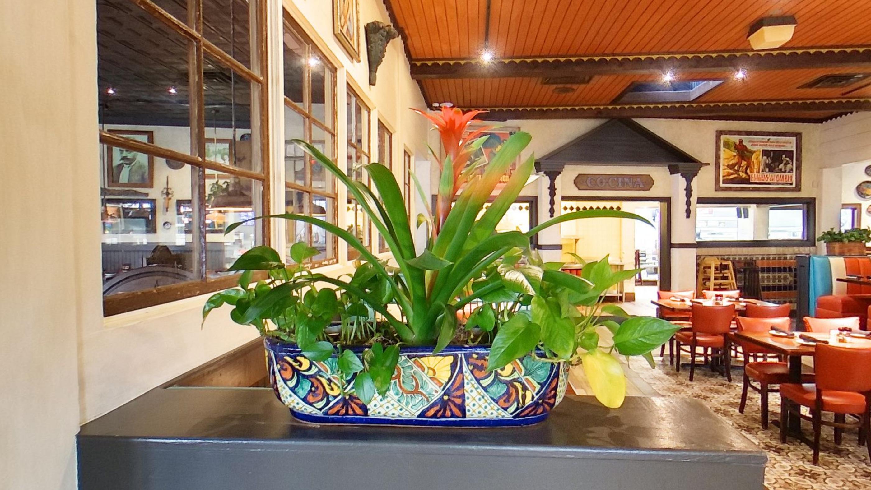 A painted talavera planter on a service counter under an orange ceiling