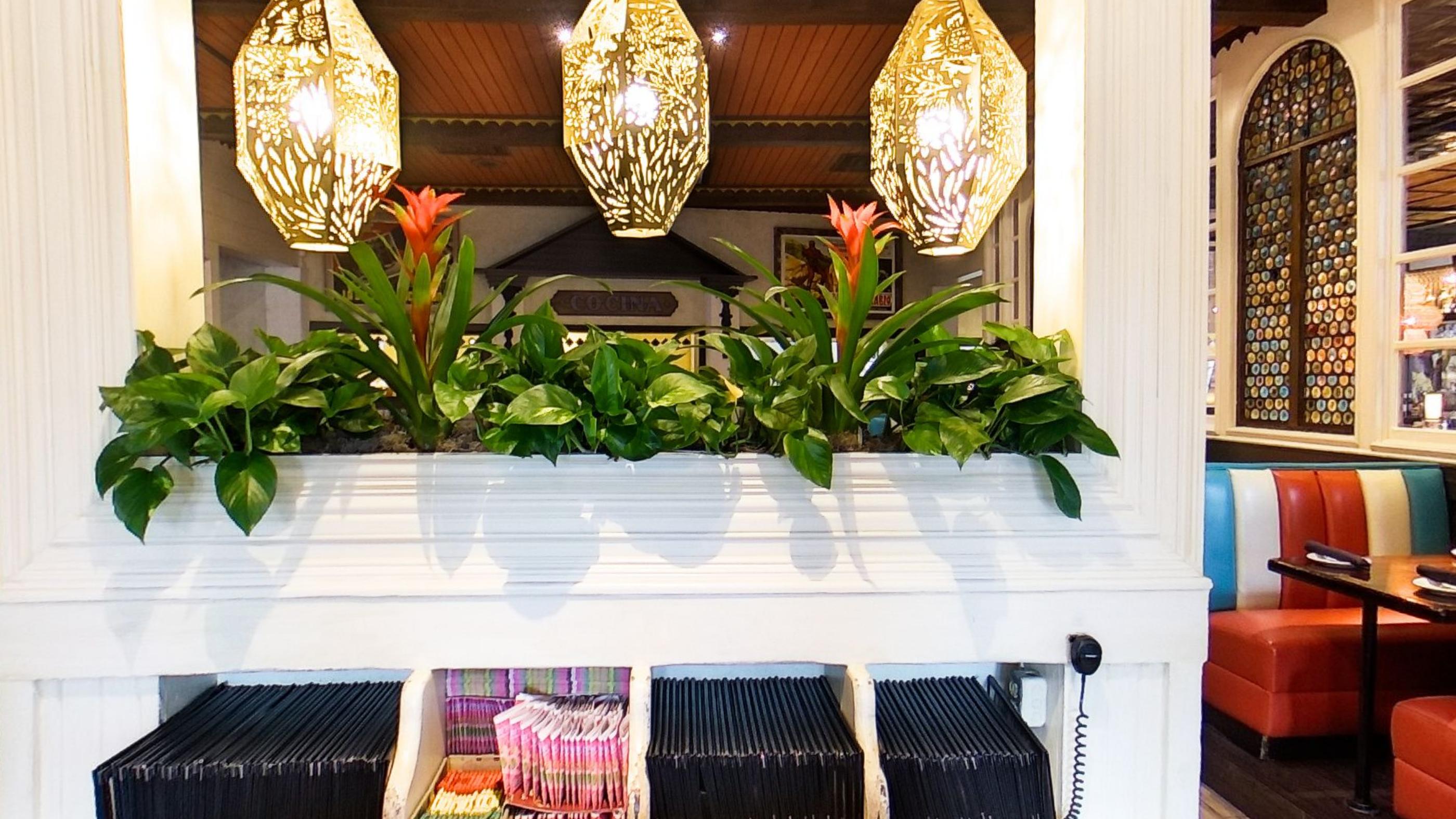 Hanging lanterns above a planted divider between tables