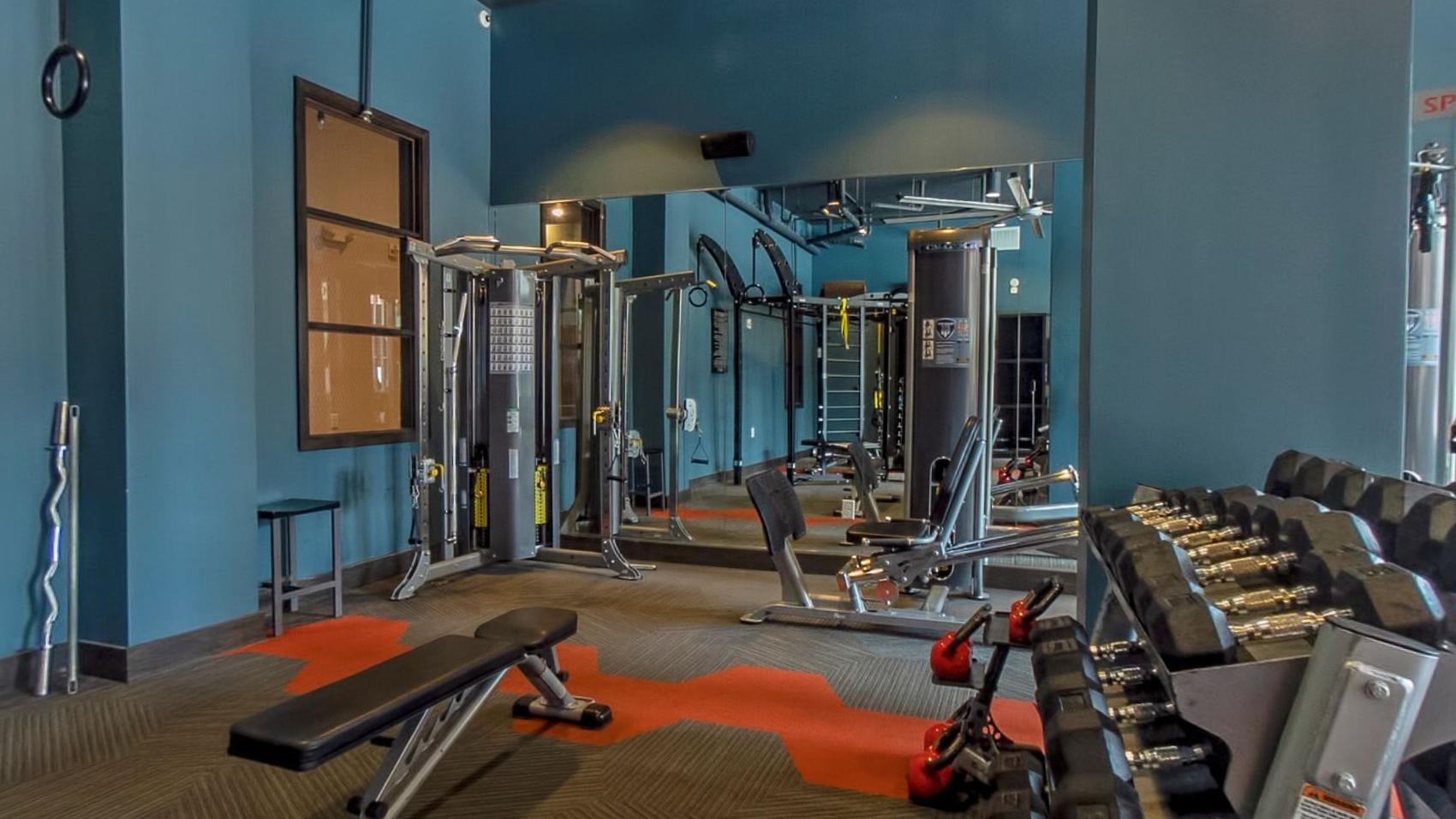 The gym with racks and machines