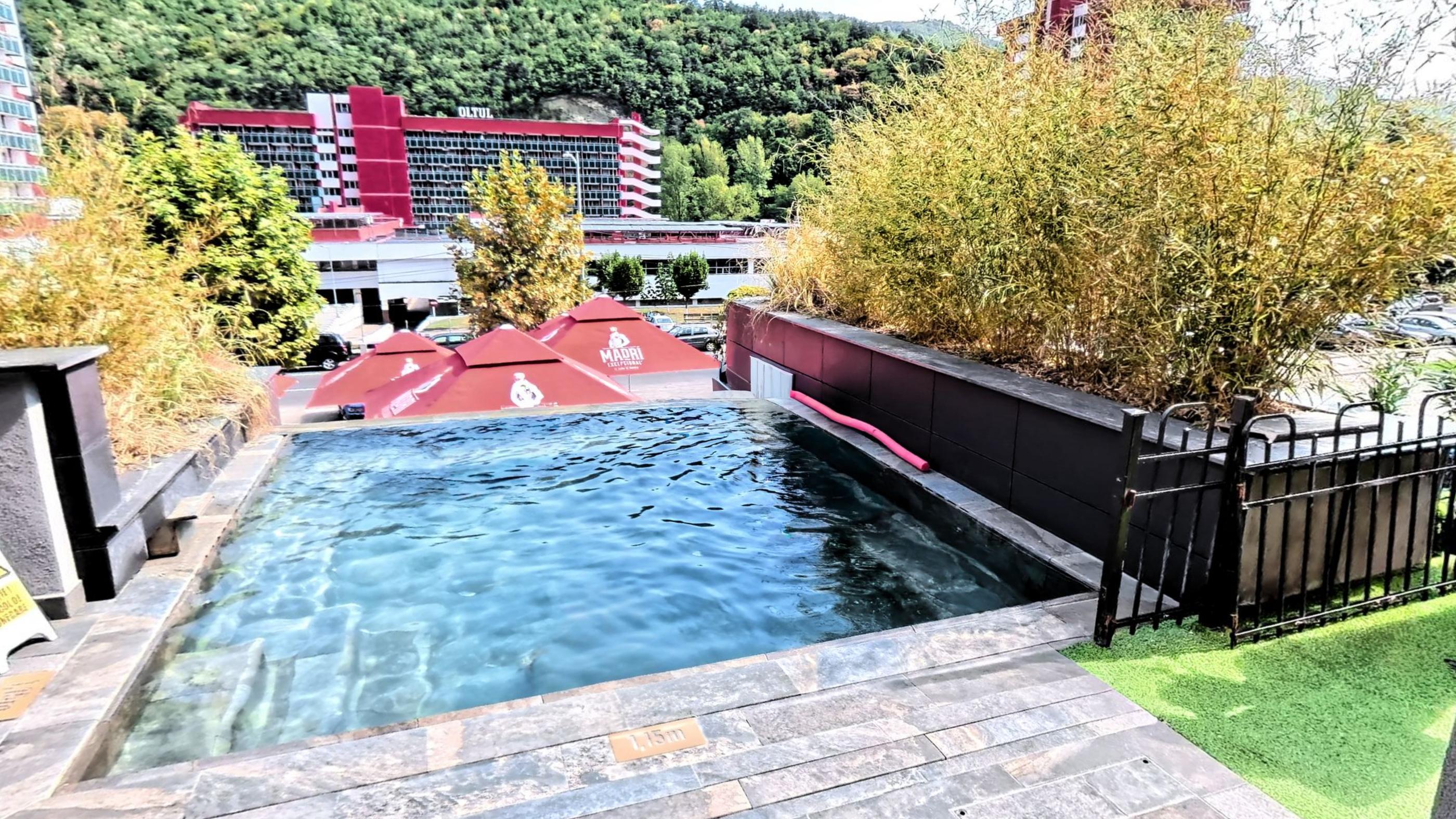 The outdoor infinity pool with the wooded hill behind it