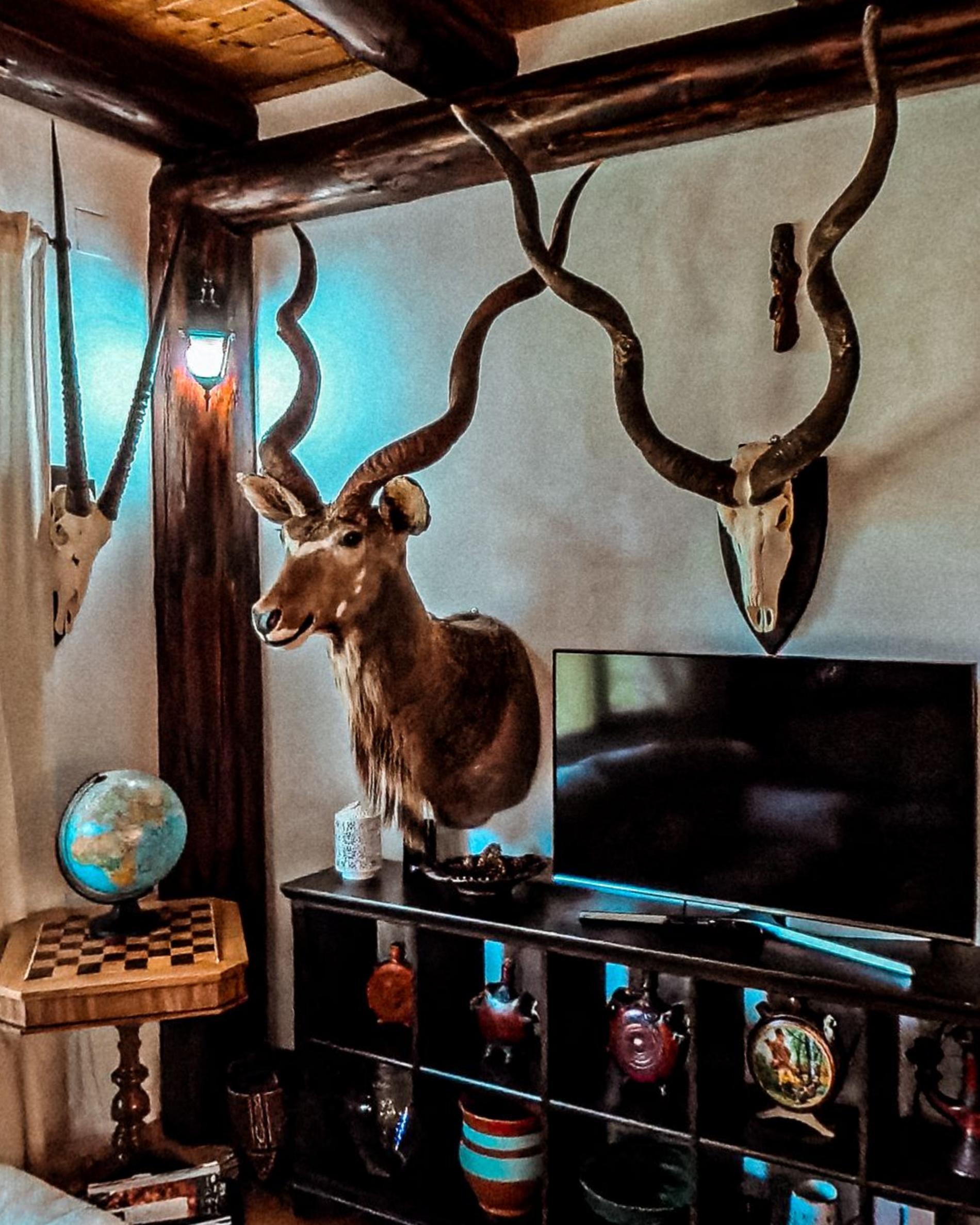 Mounted antelope and long spiral kudu horns on the living room wall beside a globe and a chess set