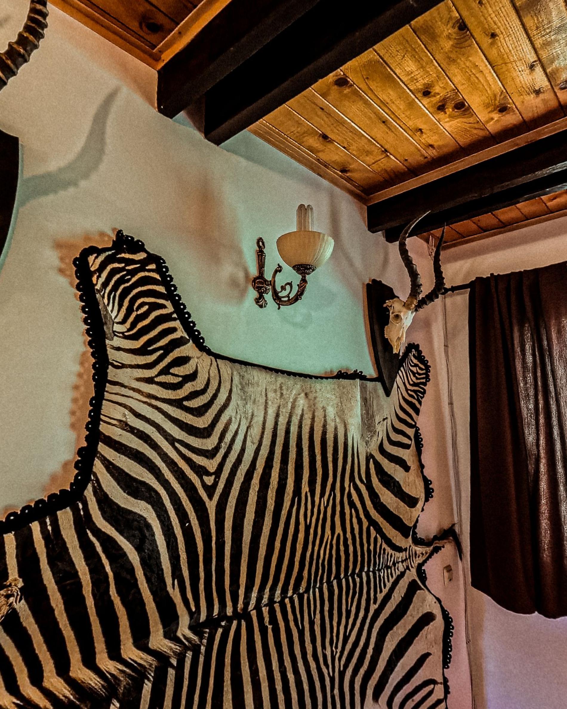 A zebra hide mounted on the upstairs hall wall next to a horned skull