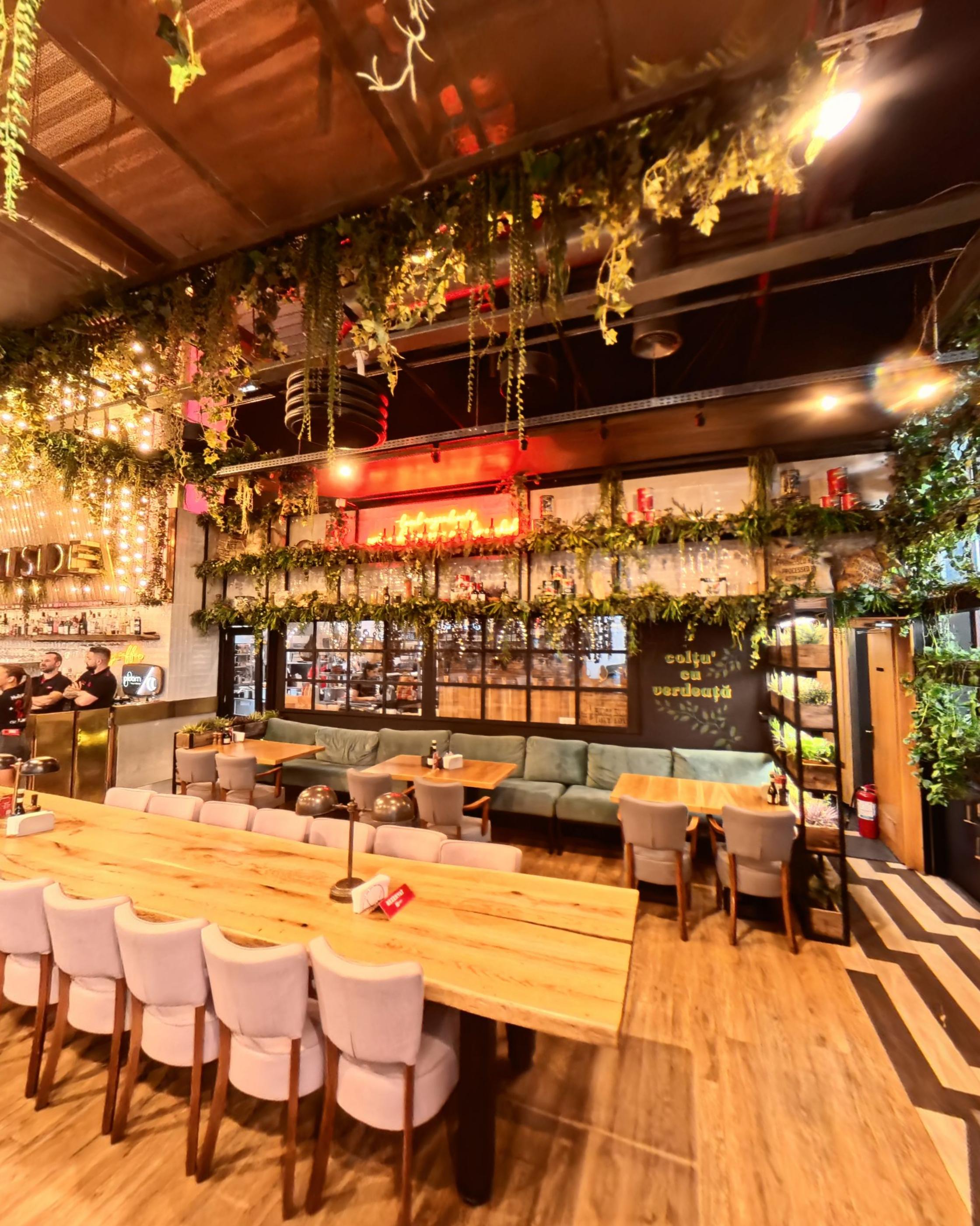 A long communal timber table with hanging plants above it